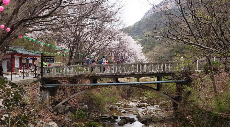 Gyeryongsan mountain